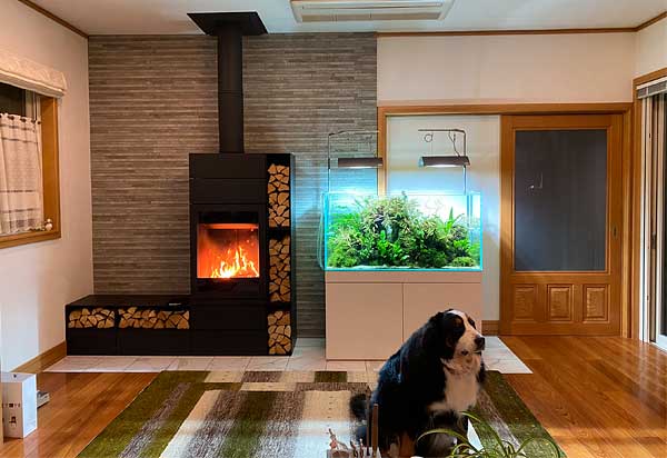 失敗しないための対策・導入のポイント